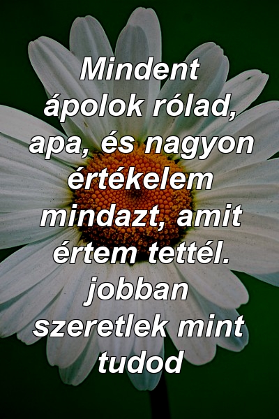 Mindent ápolok rólad, apa, és nagyon értékelem mindazt, amit értem tettél. jobban szeretlek mint tudod