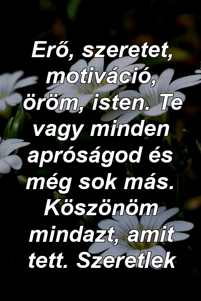 Erő, szeretet, motiváció, öröm, isten. Te vagy minden apróságod és még sok más. Köszönöm mindazt, amit tett. Szeretlek