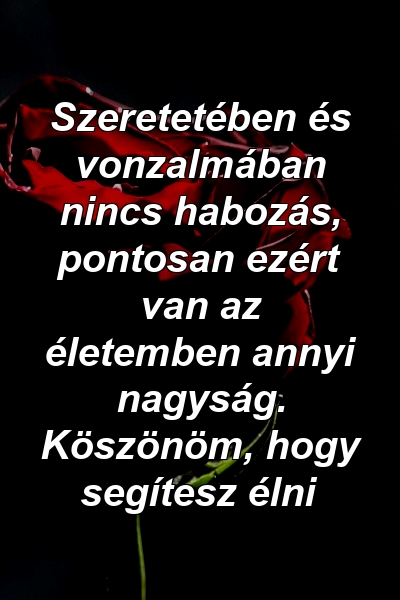 Szeretetében és vonzalmában nincs habozás, pontosan ezért van az életemben annyi nagyság. Köszönöm, hogy segítesz élni