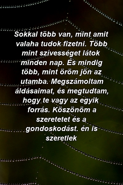 Sokkal több van, mint amit valaha tudok fizetni. Több mint szívességet látok minden nap. És mindig több, mint öröm jön az utamba. Megszámoltam áldásaimat, és megtudtam, hogy te vagy az egyik forrás. Köszönöm a szeretetet és a gondoskodást. én is szeretlek