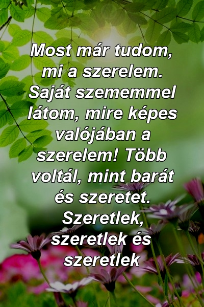 Most már tudom, mi a szerelem. Saját szememmel látom, mire képes valójában a szerelem! Több voltál, mint barát és szeretet. Szeretlek, szeretlek és szeretlek