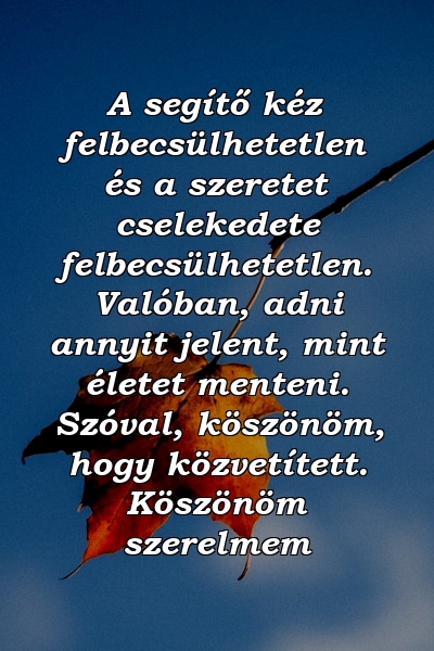 A segítő kéz felbecsülhetetlen és a szeretet cselekedete felbecsülhetetlen. Valóban, adni annyit jelent, mint életet menteni. Szóval, köszönöm, hogy közvetített. Köszönöm szerelmem