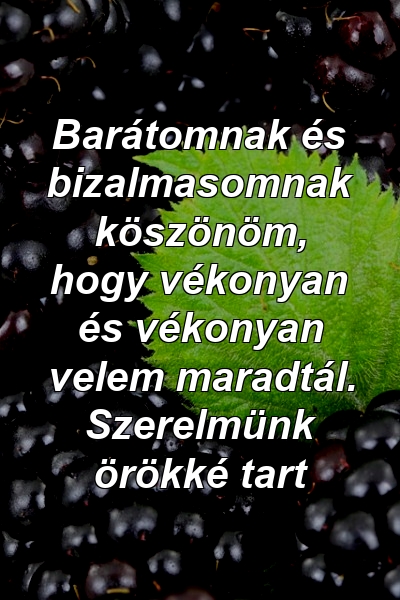 Barátomnak és bizalmasomnak köszönöm, hogy vékonyan és vékonyan velem maradtál. Szerelmünk örökké tart