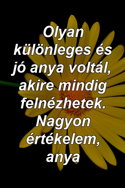 Olyan különleges és jó anya voltál, akire mindig felnézhetek. Nagyon értékelem, anya