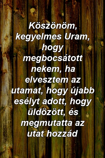 Köszönöm, kegyelmes Uram, hogy megbocsátott nekem, ha elvesztem az utamat, hogy újabb esélyt adott, hogy üldözött, és megmutatta az utat hozzád