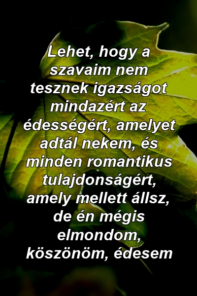 Lehet, hogy a szavaim nem tesznek igazságot mindazért az édességért, amelyet adtál nekem, és minden romantikus tulajdonságért, amely mellett állsz, de én mégis elmondom, köszönöm, édesem