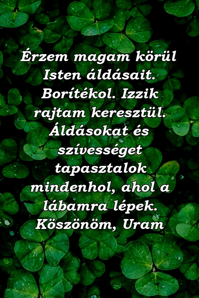 Érzem magam körül Isten áldásait. Borítékol. Izzik rajtam keresztül. Áldásokat és szívességet tapasztalok mindenhol, ahol a lábamra lépek. Köszönöm, Uram