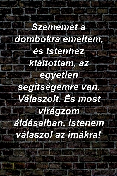 Szememet a dombokra emeltem, és Istenhez kiáltottam, az egyetlen segítségemre van. Válaszolt. És most virágzom áldásaiban. Istenem válaszol az imákra!