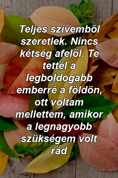 Teljes szívemből szeretlek. Nincs kétség afelől. Te tettél a legboldogabb emberré a földön, ott voltam mellettem, amikor a legnagyobb szükségem volt rád