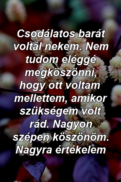 Csodálatos barát voltál nekem. Nem tudom eléggé megköszönni, hogy ott voltam mellettem, amikor szükségem volt rád. Nagyon szépen köszönöm. Nagyra értékelem