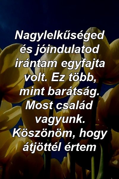 Nagylelkűséged és jóindulatod irántam egyfajta volt. Ez több, mint barátság. Most család vagyunk. Köszönöm, hogy átjöttél értem