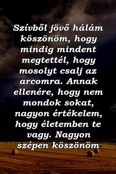 Szívből jövő hálám köszönöm, hogy mindig mindent megtettél, hogy mosolyt csalj az arcomra. Annak ellenére, hogy nem mondok sokat, nagyon értékelem, hogy életemben te vagy. Nagyon szépen köszönöm