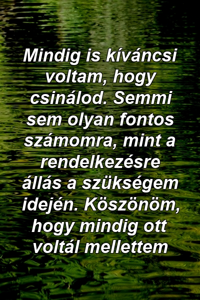 Mindig is kíváncsi voltam, hogy csinálod. Semmi sem olyan fontos számomra, mint a rendelkezésre állás a szükségem idején. Köszönöm, hogy mindig ott voltál mellettem