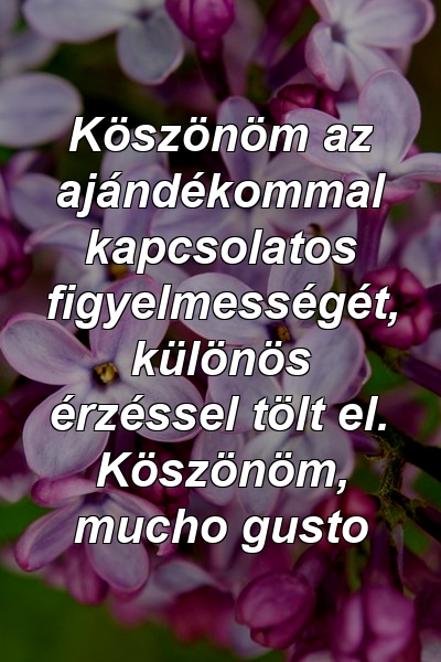 Köszönöm az ajándékommal kapcsolatos figyelmességét, különös érzéssel tölt el. Köszönöm, mucho gusto