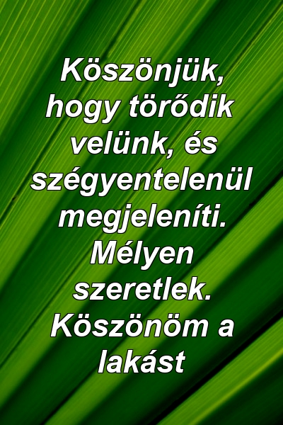 Köszönjük, hogy törődik velünk, és szégyentelenül megjeleníti. Mélyen szeretlek. Köszönöm a lakást