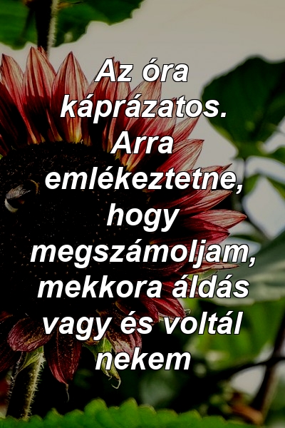 Az óra káprázatos. Arra emlékeztetne, hogy megszámoljam, mekkora áldás vagy és voltál nekem