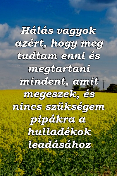 Hálás vagyok azért, hogy meg tudtam enni és megtartani mindent, amit megeszek, és nincs szükségem pipákra a hulladékok leadásához