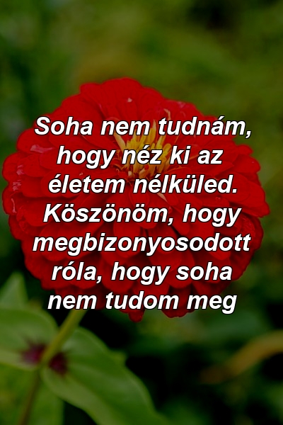 Soha nem tudnám, hogy néz ki az életem nélküled. Köszönöm, hogy megbizonyosodott róla, hogy soha nem tudom meg