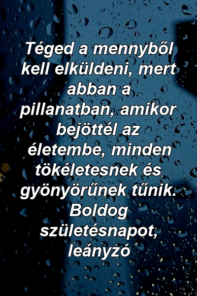 Téged a mennyből kell elküldeni, mert abban a pillanatban, amikor bejöttél az életembe, minden tökéletesnek és gyönyörűnek tűnik. Boldog születésnapot, leányzó