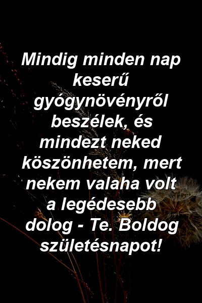 Mindig minden nap keserű gyógynövényről beszélek, és mindezt neked köszönhetem, mert nekem valaha volt a legédesebb dolog - Te. Boldog születésnapot!