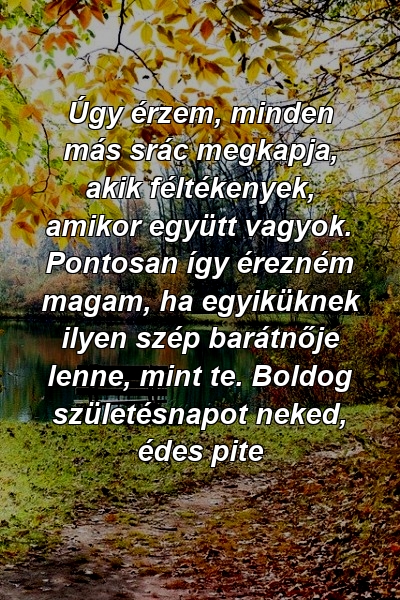 Úgy érzem, minden más srác megkapja, akik féltékenyek, amikor együtt vagyok. Pontosan így érezném magam, ha egyiküknek ilyen szép barátnője lenne, mint te. Boldog születésnapot neked, édes pite