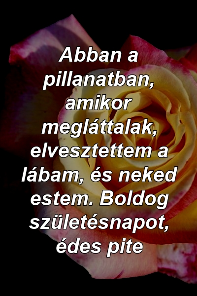 Abban a pillanatban, amikor megláttalak, elvesztettem a lábam, és neked estem. Boldog születésnapot, édes pite