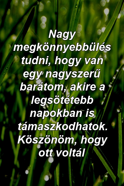 Nagy megkönnyebbülés tudni, hogy van egy nagyszerű barátom, akire a legsötétebb napokban is támaszkodhatok. Köszönöm, hogy ott voltál