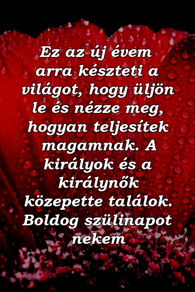 Ez az új évem arra készteti a világot, hogy üljön le és nézze meg, hogyan teljesítek magamnak. A királyok és a királynők közepette találok. Boldog szülinapot nekem