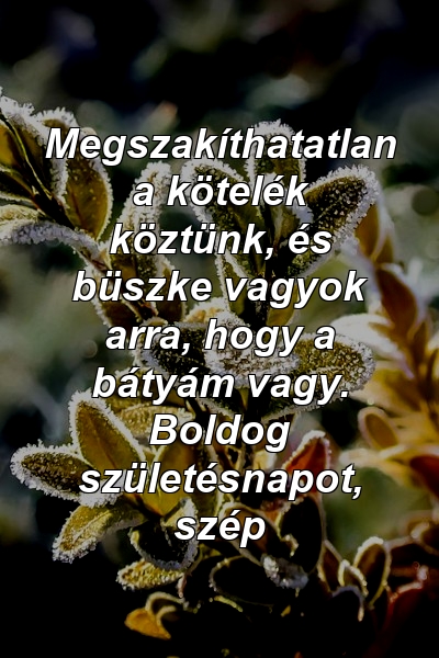 Megszakíthatatlan a kötelék köztünk, és büszke vagyok arra, hogy a bátyám vagy. Boldog születésnapot, szép