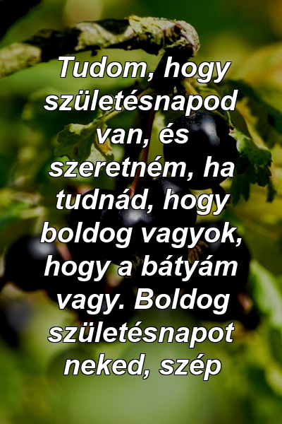 Tudom, hogy születésnapod van, és szeretném, ha tudnád, hogy boldog vagyok, hogy a bátyám vagy. Boldog születésnapot neked, szép