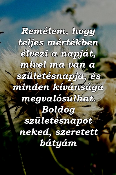 Remélem, hogy teljes mértékben élvezi a napját, mivel ma van a születésnapja, és minden kívánsága megvalósulhat. Boldog születésnapot neked, szeretett bátyám