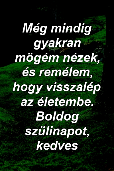 Még mindig gyakran mögém nézek, és remélem, hogy visszalép az életembe. Boldog szülinapot, kedves