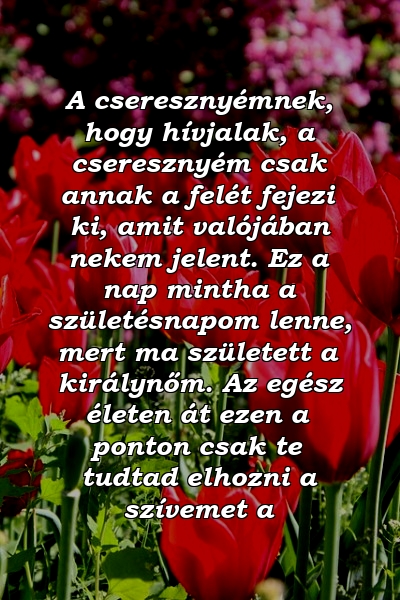 A cseresznyémnek, hogy hívjalak, a cseresznyém csak annak a felét fejezi ki, amit valójában nekem jelent. Ez a nap mintha a születésnapom lenne, mert ma született a királynőm. Az egész életen át ezen a ponton csak te tudtad elhozni a szívemet a