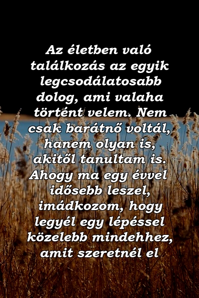 Az életben való találkozás az egyik legcsodálatosabb dolog, ami valaha történt velem. Nem csak barátnő voltál, hanem olyan is, akitől tanultam is. Ahogy ma egy évvel idősebb leszel, imádkozom, hogy legyél egy lépéssel közelebb mindehhez, amit szeretnél el