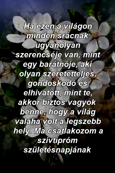 Ha ezen a világon minden srácnak ugyanolyan szerencséje van, mint egy barátnője, aki olyan szeretetteljes, gondoskodó és elhivatott, mint te, akkor biztos vagyok benne, hogy a világ valaha volt a legszebb hely. Ma csatlakozom a szívtipróm születésnapjának