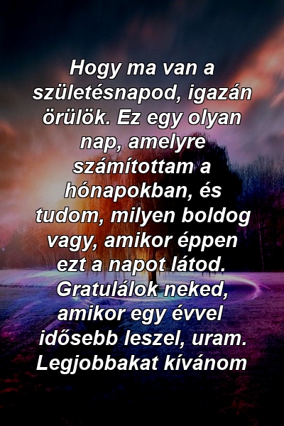 Hogy ma van a születésnapod, igazán örülök. Ez egy olyan nap, amelyre számítottam a hónapokban, és tudom, milyen boldog vagy, amikor éppen ezt a napot látod. Gratulálok neked, amikor egy évvel idősebb leszel, uram. Legjobbakat kívánom