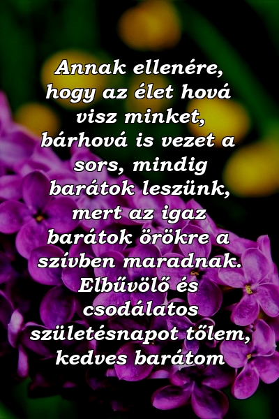 Annak ellenére, hogy az élet hová visz minket, bárhová is vezet a sors, mindig barátok leszünk, mert az igaz barátok örökre a szívben maradnak. Elbűvölő és csodálatos születésnapot tőlem, kedves barátom