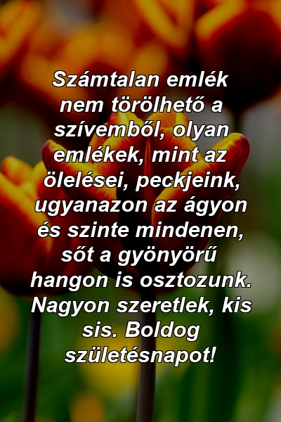 Számtalan emlék nem törölhető a szívemből, olyan emlékek, mint az ölelései, peckjeink, ugyanazon az ágyon és szinte mindenen, sőt a gyönyörű hangon is osztozunk. Nagyon szeretlek, kis sis. Boldog születésnapot!