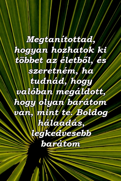 Megtanítottad, hogyan hozhatok ki többet az életből, és szeretném, ha tudnád, hogy valóban megáldott, hogy olyan barátom van, mint te. Boldog hálaadás, legkedvesebb barátom