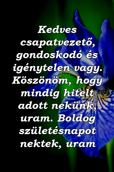 Kedves csapatvezető, gondoskodó és igénytelen vagy. Köszönöm, hogy mindig hitelt adott nekünk, uram. Boldog születésnapot nektek, uram