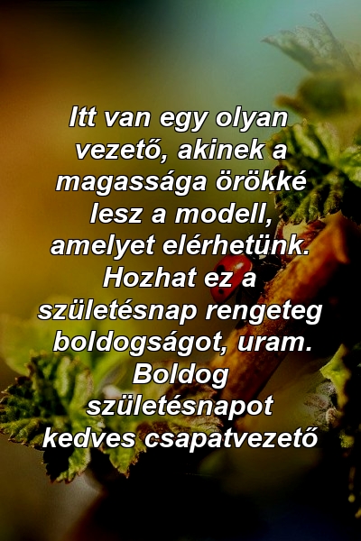 Itt van egy olyan vezető, akinek a magassága örökké lesz a modell, amelyet elérhetünk. Hozhat ez a születésnap rengeteg boldogságot, uram. Boldog születésnapot kedves csapatvezető