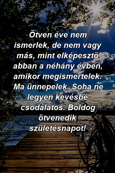 Ötven éve nem ismerlek, de nem vagy más, mint elképesztő abban a néhány évben, amikor megismertelek. Ma ünnepelek. Soha ne legyen kevésbé csodálatos. Boldog ötvenedik születésnapot!