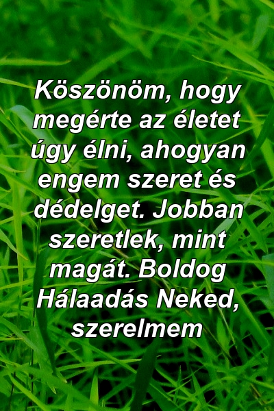 Köszönöm, hogy megérte az életet úgy élni, ahogyan engem szeret és dédelget. Jobban szeretlek, mint magát. Boldog Hálaadás Neked, szerelmem