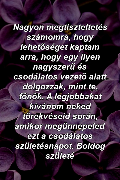 Nagyon megtiszteltetés számomra, hogy lehetőséget kaptam arra, hogy egy ilyen nagyszerű és csodálatos vezető alatt dolgozzak, mint te, főnök. A legjobbakat kívánom neked törekvéseid során, amikor megünnepeled ezt a csodálatos születésnapot. Boldog születé