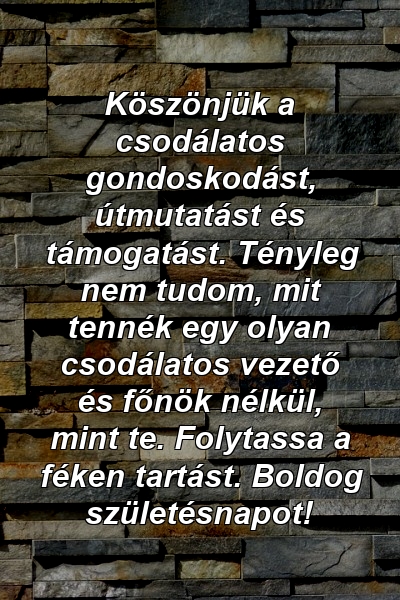 Köszönjük a csodálatos gondoskodást, útmutatást és támogatást. Tényleg nem tudom, mit tennék egy olyan csodálatos vezető és főnök nélkül, mint te. Folytassa a féken tartást. Boldog születésnapot!