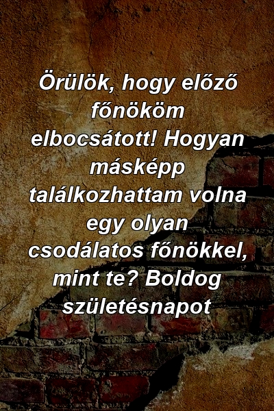 Örülök, hogy előző főnököm elbocsátott! Hogyan másképp találkozhattam volna egy olyan csodálatos főnökkel, mint te? Boldog születésnapot