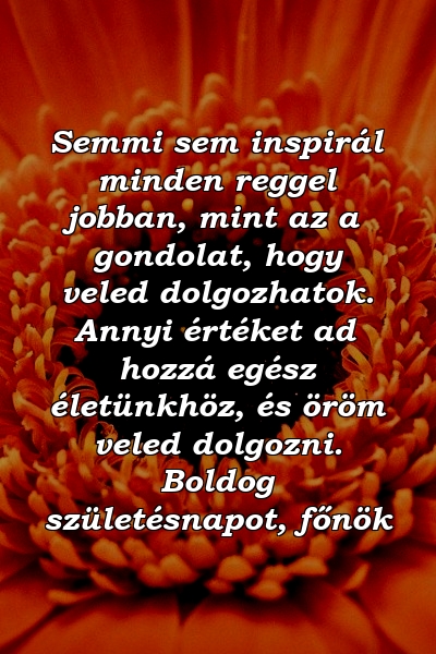 Semmi sem inspirál minden reggel jobban, mint az a gondolat, hogy veled dolgozhatok. Annyi értéket ad hozzá egész életünkhöz, és öröm veled dolgozni. Boldog születésnapot, főnök