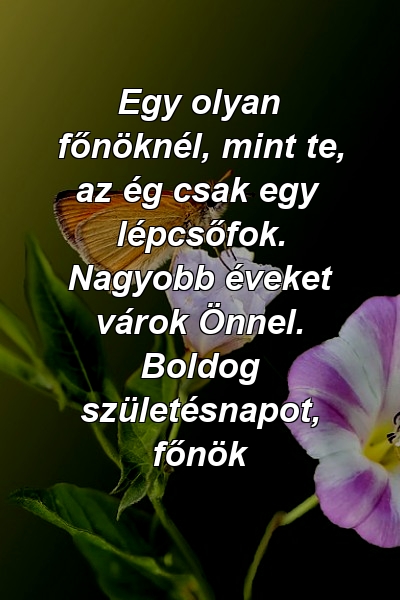 Egy olyan főnöknél, mint te, az ég csak egy lépcsőfok. Nagyobb éveket várok Önnel. Boldog születésnapot, főnök