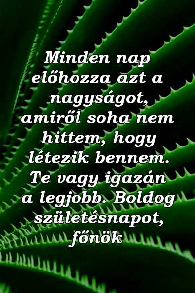 Minden nap előhozza azt a nagyságot, amiről soha nem hittem, hogy létezik bennem. Te vagy igazán a legjobb. Boldog születésnapot, főnök