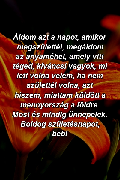 Áldom azt a napot, amikor megszülettél, megáldom az anyaméhet, amely vitt téged, kíváncsi vagyok, mi lett volna velem, ha nem születtél volna, azt hiszem, miattam küldött a mennyország a földre. Most és mindig ünnepelek. Boldog születésnapot, bébi